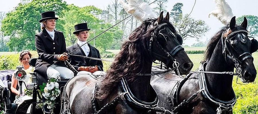 Haywards Carriages