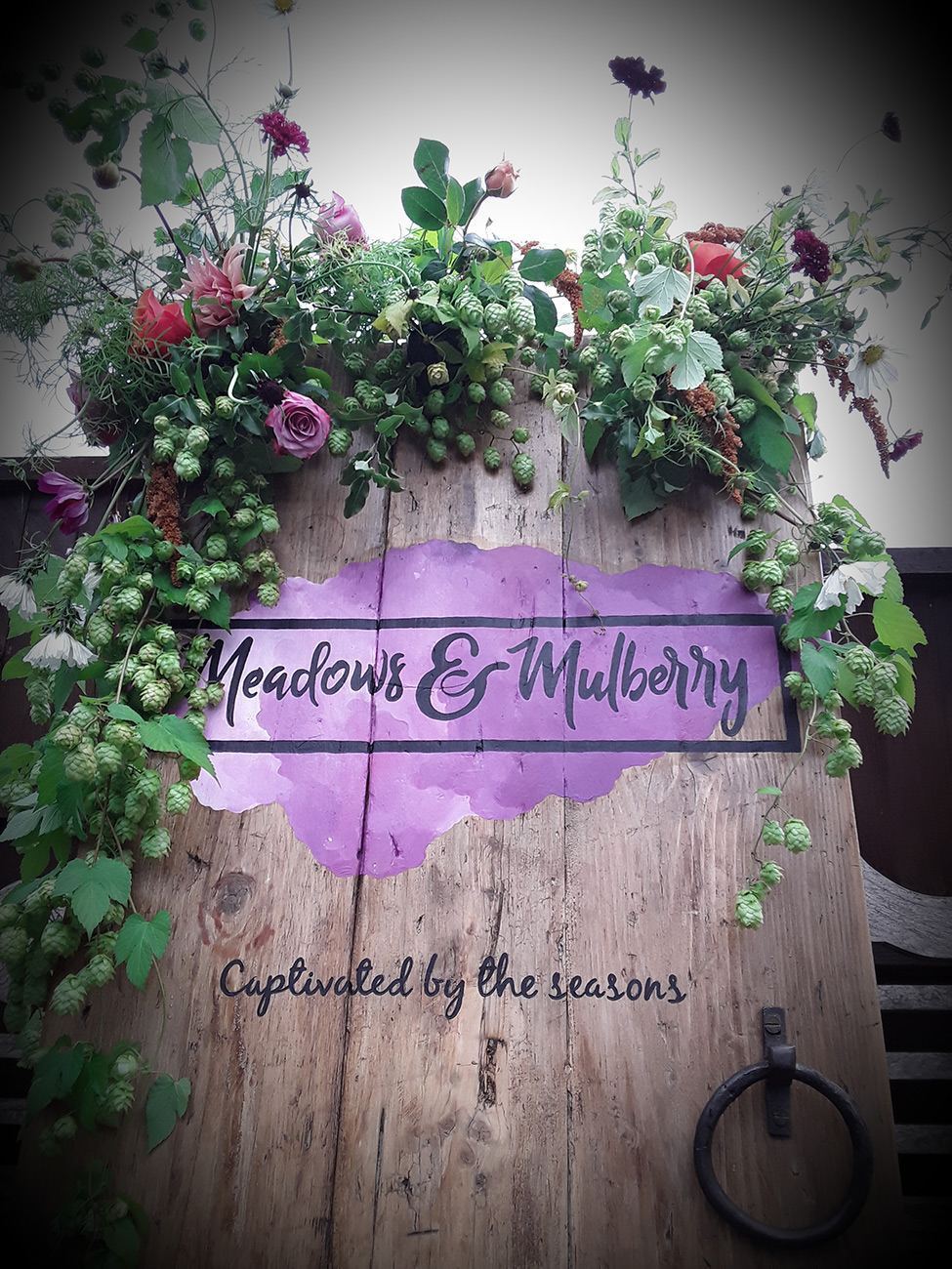Meadows & Mulberry