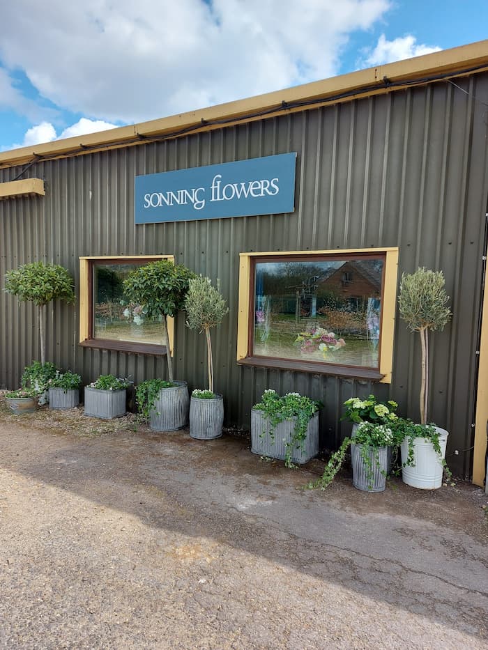 Sonning Flowers