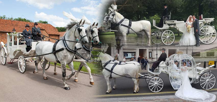 TW Carriages